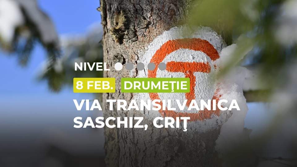 Drumeție începător: Via Transilvanica Saschiz – Criț