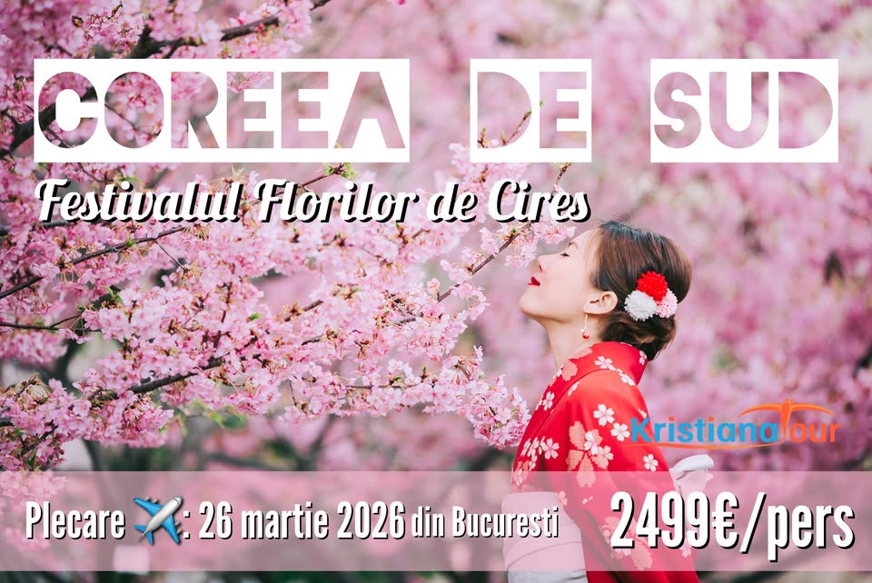 🌸Festivalul florilor de cires🌸 Coreea de Sud