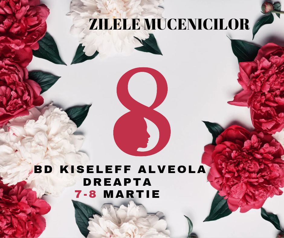 SpringFest Kiseleff