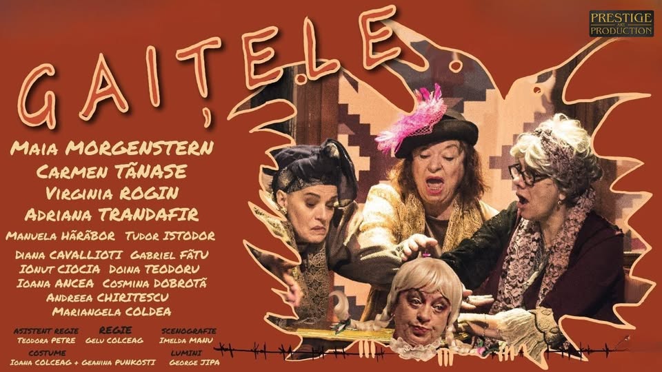 GAITELE – Constanta