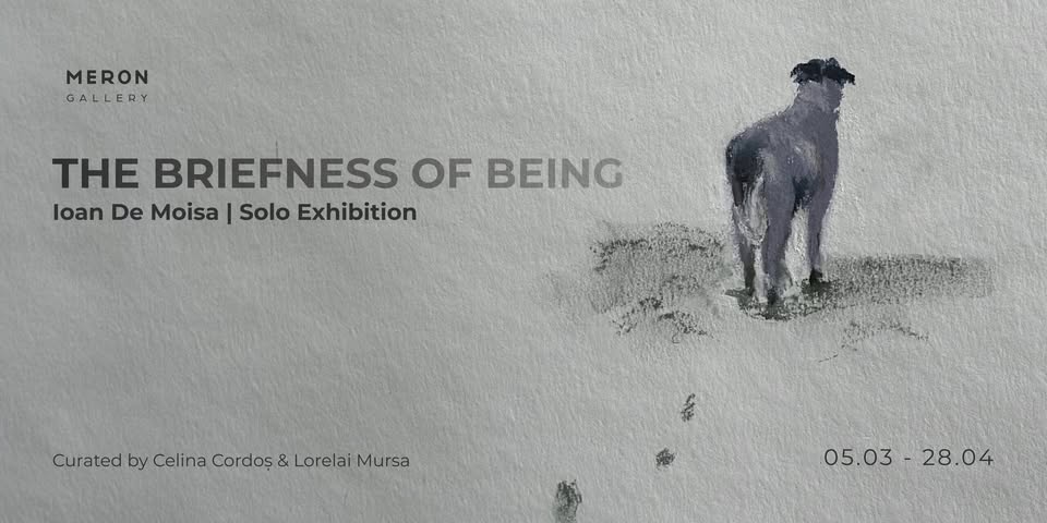 Vernissage of the exhibition The Briefness of Being signed by the artist Ioan de Moisa