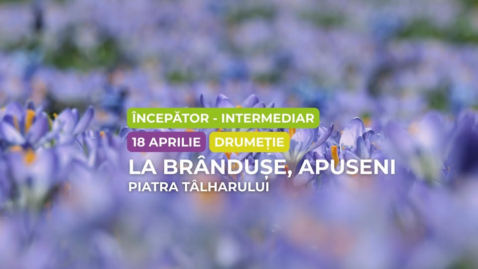 Drumeție începător – intermediar: La brândușe în Apuseni, Piatra Tâlharului
