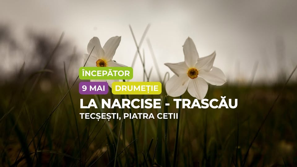 Drumeție începător: La Narcise în Tecșești și Piatra Cetii, Trascău