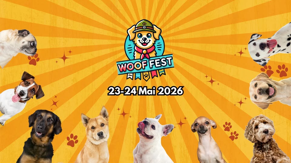 WOOF Fest | Festivalul lui Bobiță