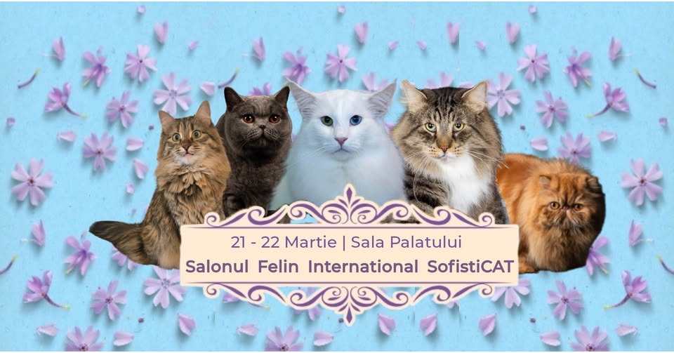 SofistiCAT Salonul Felin, “Sala Palatului”, 21-22 Martie 2026