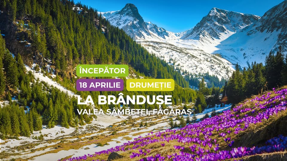Drumeție începător – intermediar: La brândușe pe Valea Sâmbetei, Făgăraș