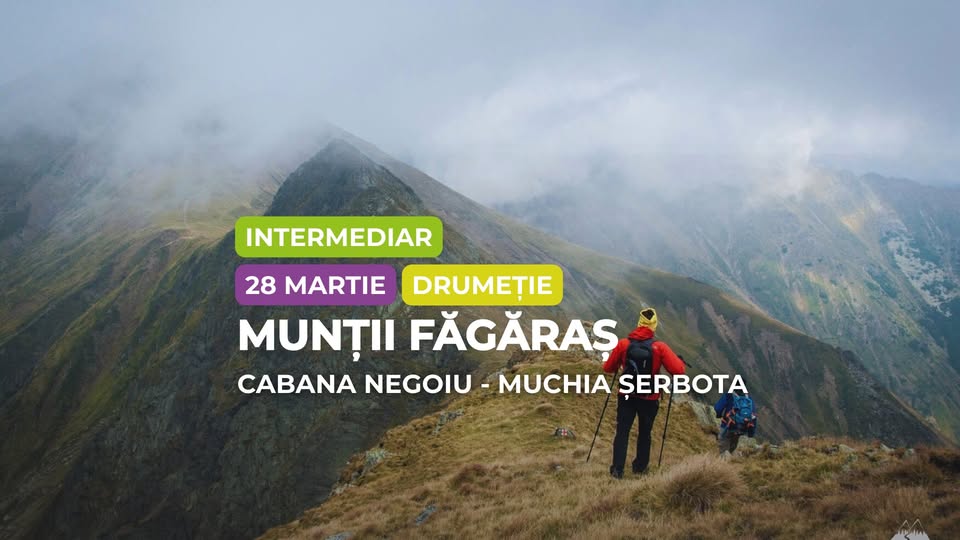 Drumeție intermediar: Munții Făgăraș, Cabana Negoiu și Muchia Șerbota