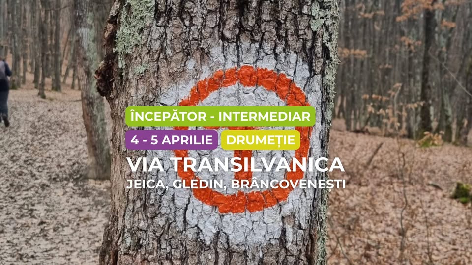 Drumeție începător – intermediar: Via Transilvanica: Jeica – Gledin – Brâncovenești