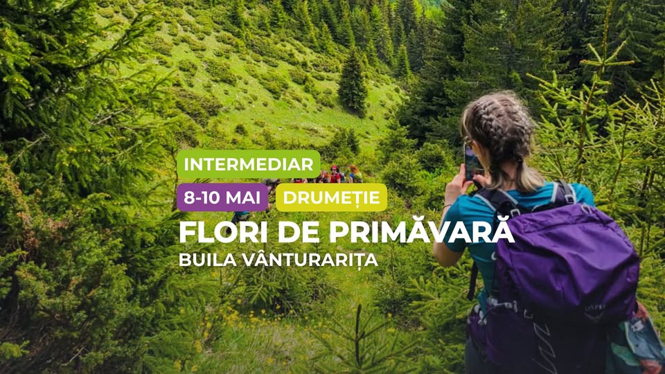 Drumeție intermediar: Flori de primăvară în Buila Vânturarița