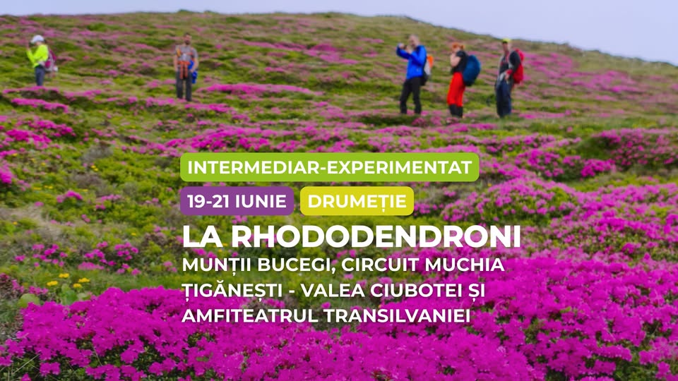 Drumeție intermediar – experimentat: Rhododendron Munții Bucegi, Circuit Muchia Țigănești