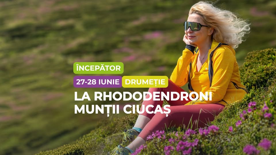Drumeție începător: Rhododenron în Munții Ciucaș