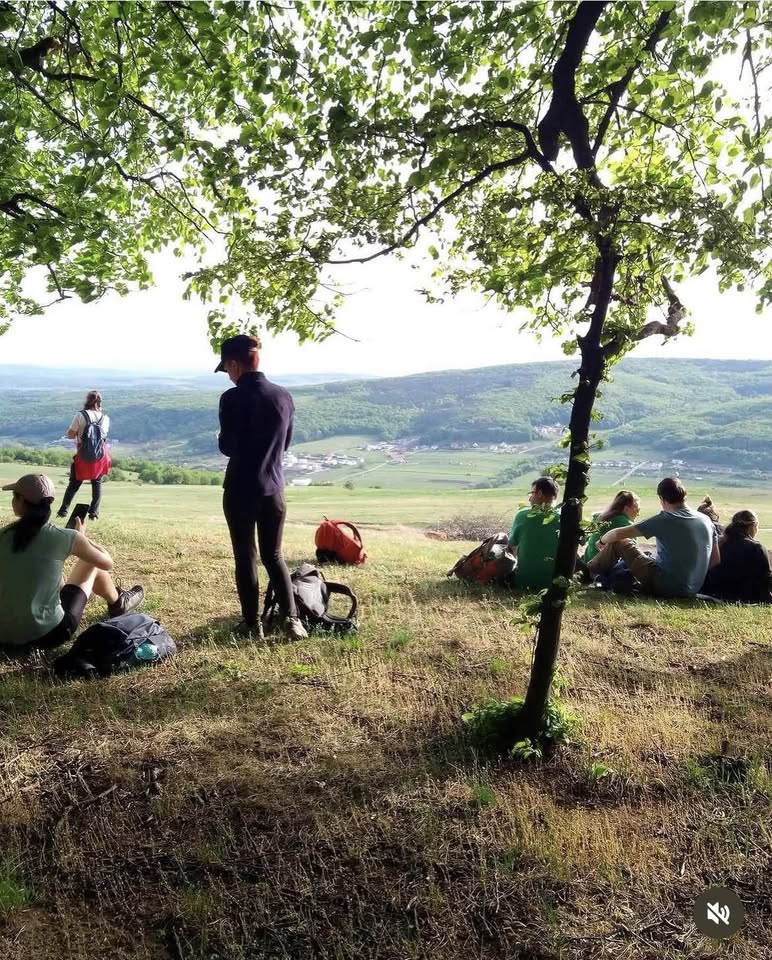 TURĂ la pădurea Lombului, viitoare / propusă arie protejată