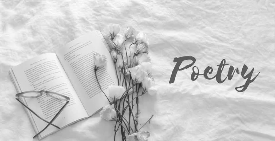 Seara de Poezie – Partea VI