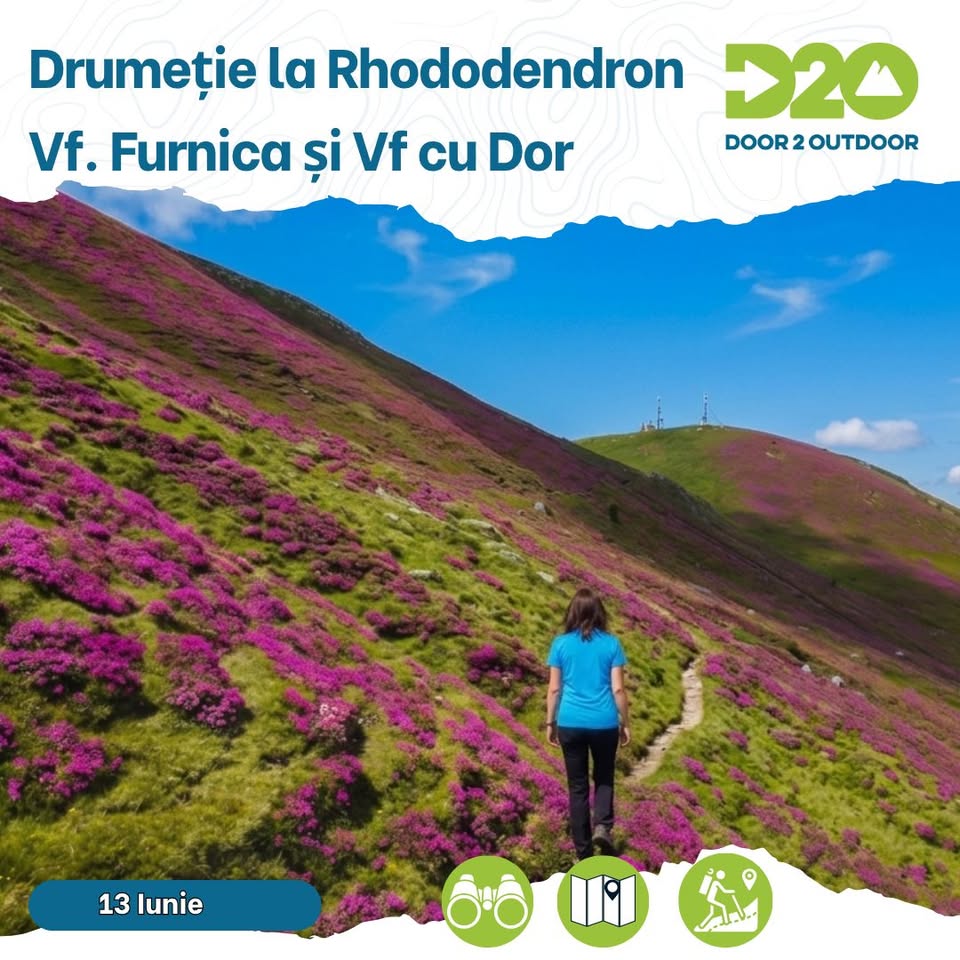 Drumeție la Rododendron: Vf. Furnica și Vf cu Dor