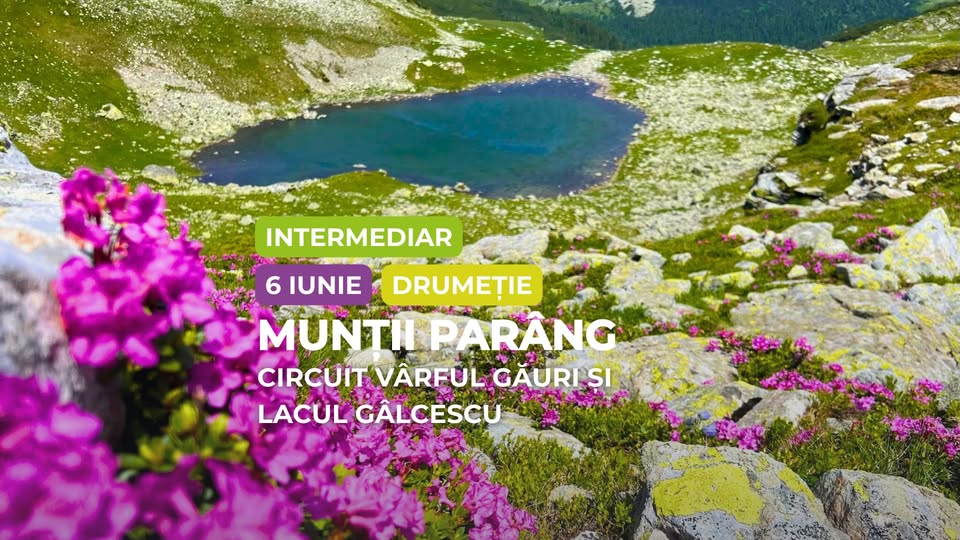 Dumeție intermediar: Circuit Munții Parâng, Vf. Găuri – Lacul Gâlcescu