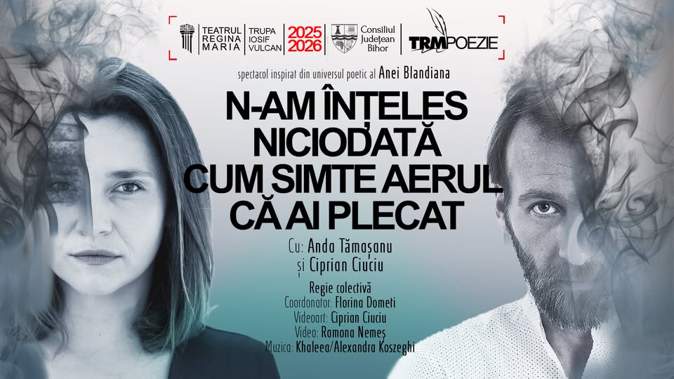N-AM ÎNȚELES NICIODATĂ CUM SIMTE AERUL CĂ AI PLECAT