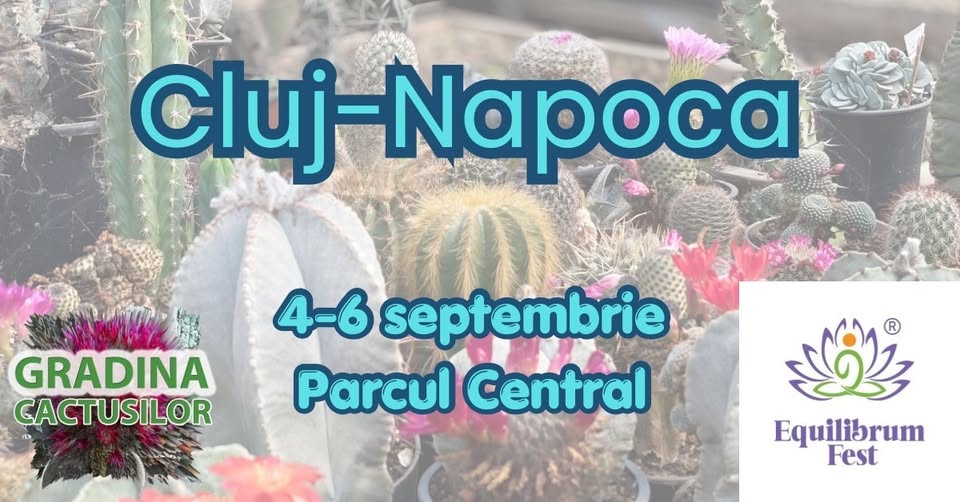 Cactuși la târg, Cluj Napoca, Equilibrum Fest