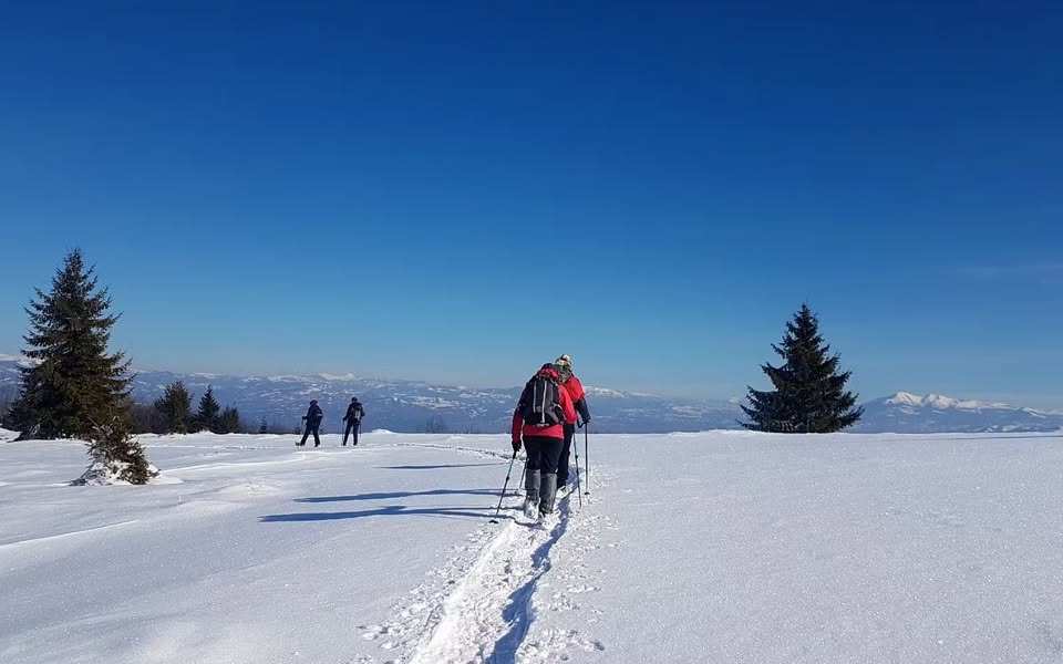 Guided Snowshoeing in Carpathian Mountains Wonderland