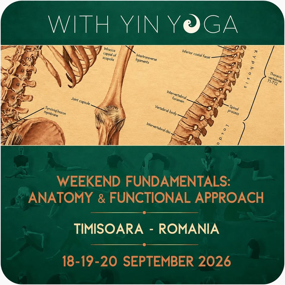 YIN YOGA WEEKEND: FUNDAMENTELE ANATOMIEI ȘI ABORDĂRII FUNCȚIONALE