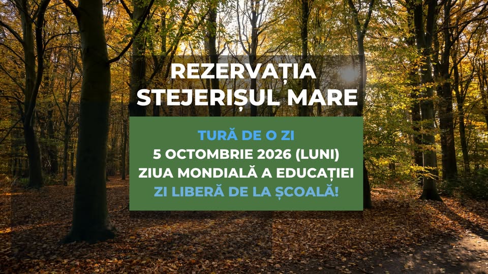 Excursie de Ziua Mondială a Educației – Rezervația Stejerișul Mare
