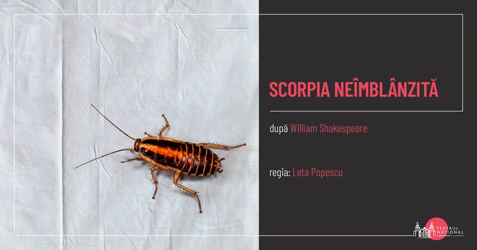SCORPIA NEÎMBLÂNZITĂ