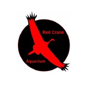 Red Crane Aquarium Product