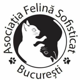 Sofisticat Shows