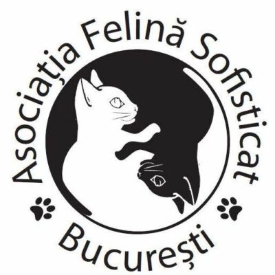 Sofisticat Shows